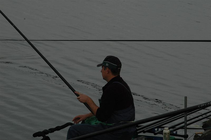 DSC_1700.JPG