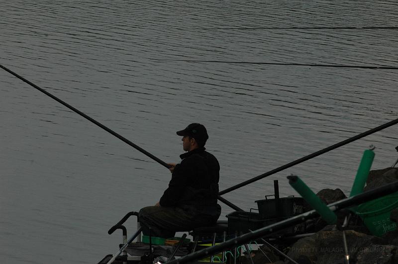 DSC_1701.JPG